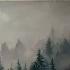 Туманное утро в лесу 